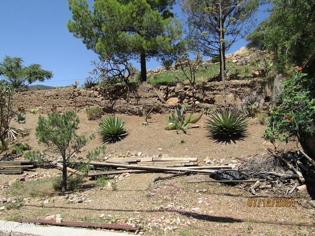 60 Wood Cyn, Bisbee, AZ 85603 - view of landscape