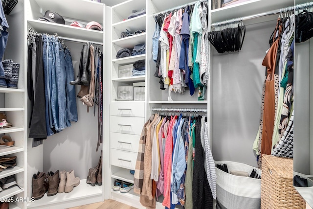 view of spacious closet