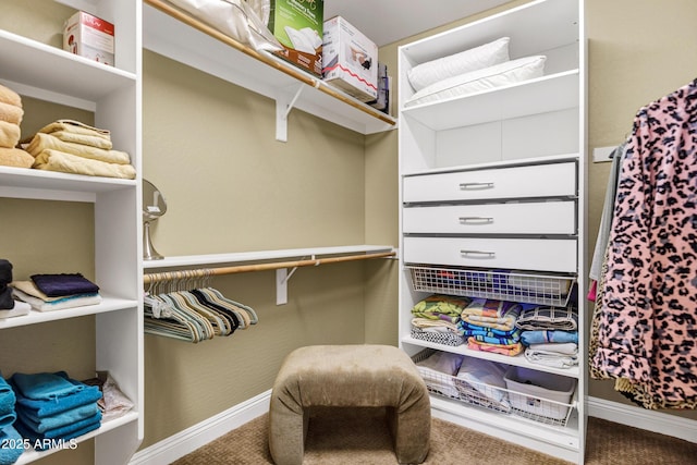 spacious closet with carpet floors