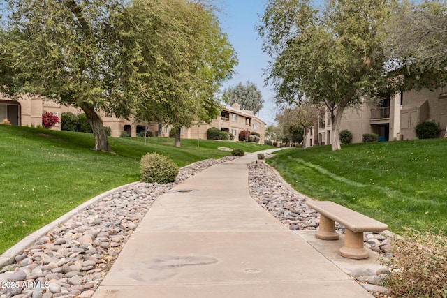 view of community featuring a lawn