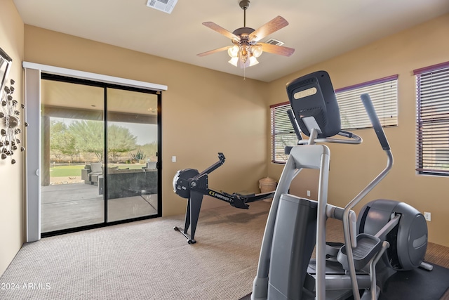 15406 E Cavedale Dr, Scottsdale, AZ 85262 - exercise area featuring ceiling fan, carpet floors, and plenty of natural light