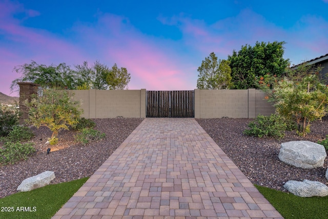 9527 W Whitehorn Way, Peoria, AZ 85383 - view of gate