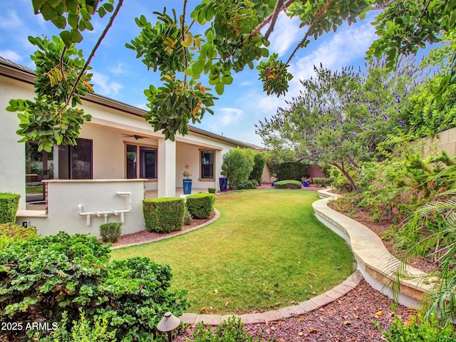 3809 E Lynx Pl, Chandler, AZ 85249 - view of grassy yard featuring a ceiling fan