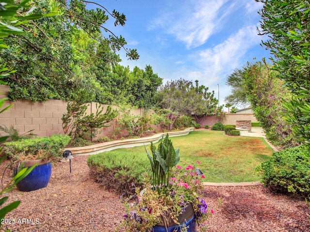 3809 E Lynx Pl, Chandler, AZ 85249 - view of yard