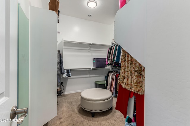 spacious closet with carpet