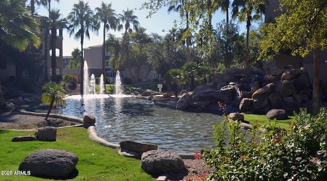 5345 E Van Buren St Unit 115, Phoenix, AZ 85008 - water view