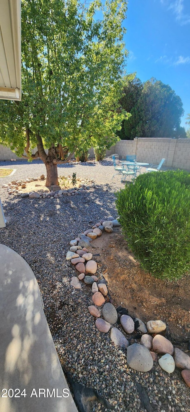 view of yard with a patio