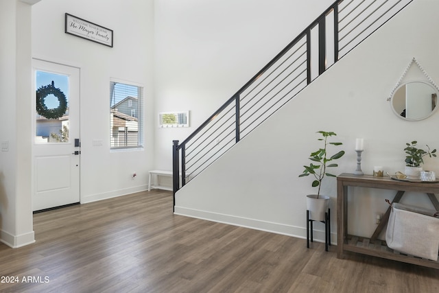 entryway featuring hardwood / wood-style floors and a high ceiling