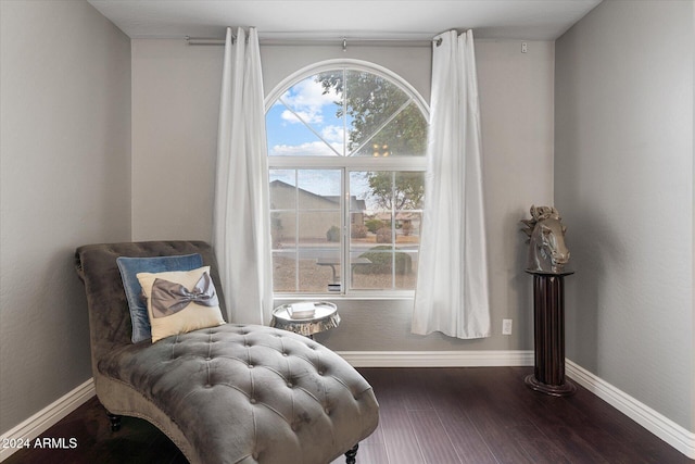 sitting room featuring dark hardwood / wood-style floors