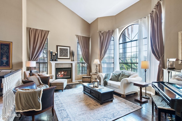 sitting room featuring high vaulted ceiling, dark wood finished floors, and a fireplace