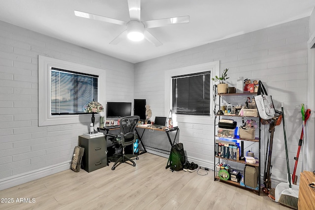 office with ceiling fan and light hardwood / wood-style flooring