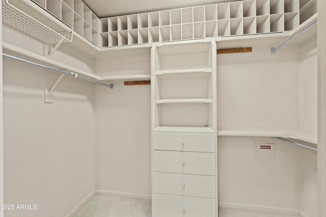 spacious closet featuring carpet flooring