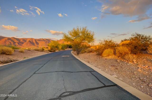 9245 E Canyon View Trl Unit 14, Gold Canyon, AZ 85118