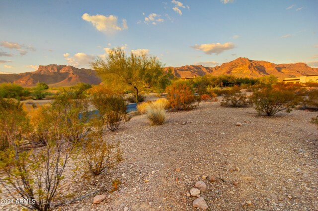 9245 E Canyon View Trl Unit 14, Gold Canyon, AZ 85118