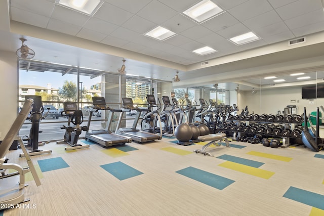 workout area featuring a paneled ceiling and carpet flooring