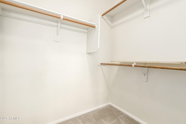 spacious closet with carpet