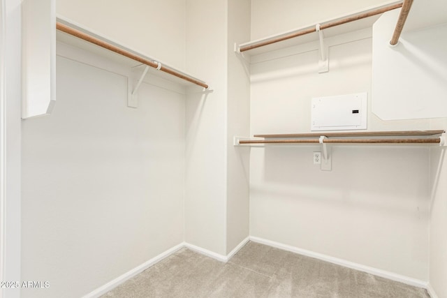 spacious closet with light carpet