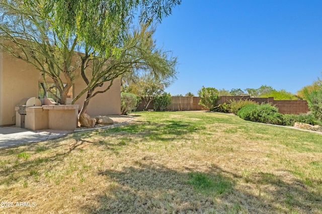 33519 N 62nd St, Cave Creek, AZ 85331 - view of yard with exterior kitchen and a fenced backyard