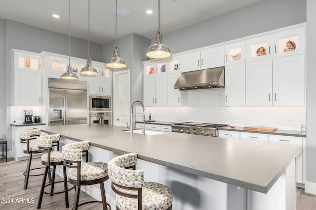 kitchen featuring tasteful backsplash, light wood-style flooring, built in appliances, under cabinet range hood, and a sink