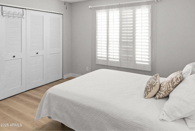bedroom featuring multiple windows, wood finished floors, and a closet