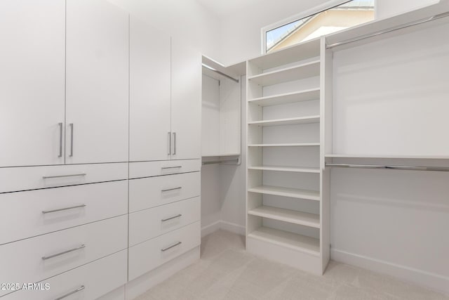 1645 E Minton St, Mesa, AZ 85203 - spacious closet with light colored carpet