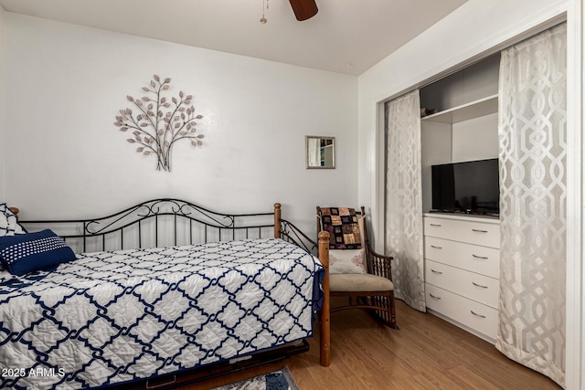 4013 E Delta Cir, Mesa, AZ 85206 - bedroom with wood finished floors and ceiling fan