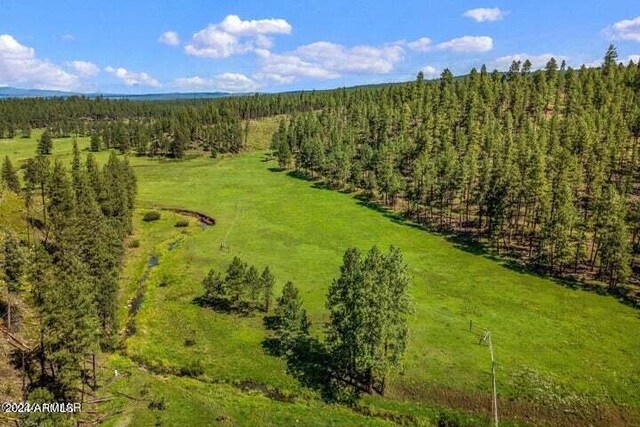 8253 Wiltbank Rd, Alpine, AZ 85920