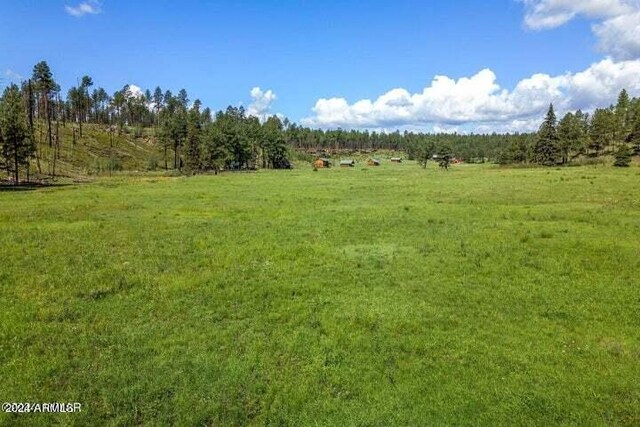 8253 Wiltbank Rd, Alpine, AZ 85920
