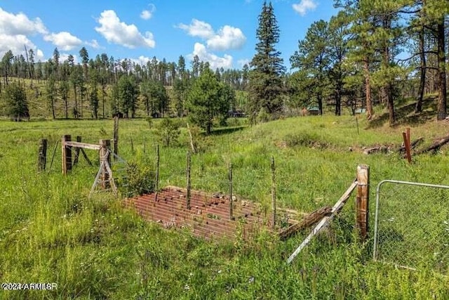 8253 Wiltbank Rd, Alpine, AZ 85920