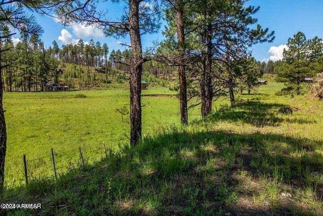8253 Wiltbank Rd, Alpine, AZ 85920