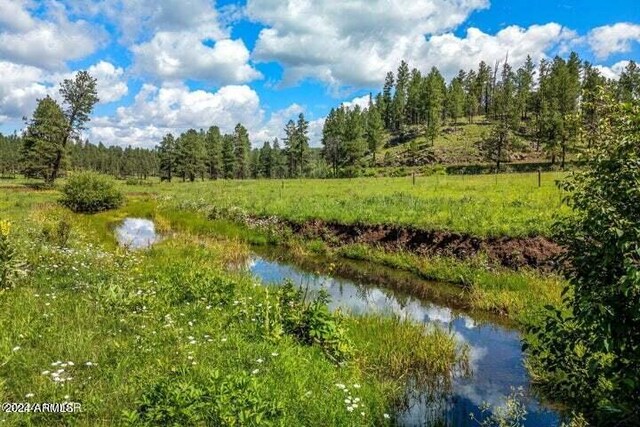 8253 Wiltbank Rd, Alpine, AZ 85920
