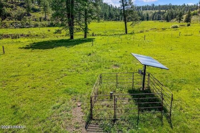 8253 Wiltbank Rd, Alpine, AZ 85920
