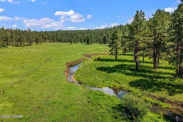 8253 Wiltbank Rd, Alpine, AZ 85920