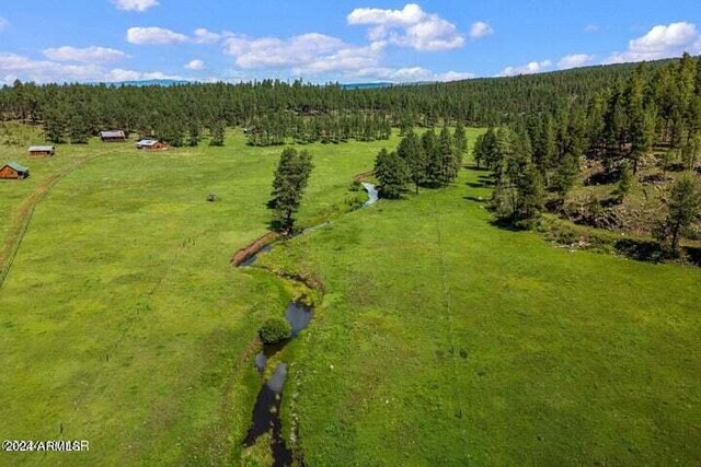 8253 Wiltbank Rd, Alpine, AZ 85920