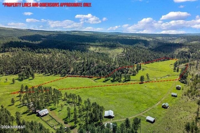 8253 Wiltbank Rd, Alpine, AZ 85920