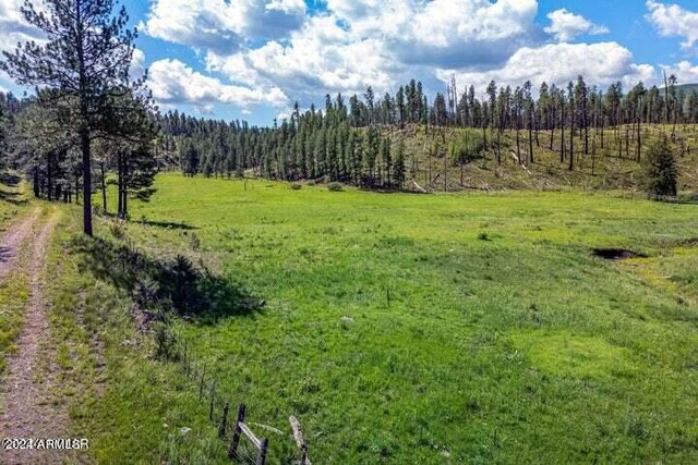 8253 Wiltbank Rd, Alpine, AZ 85920