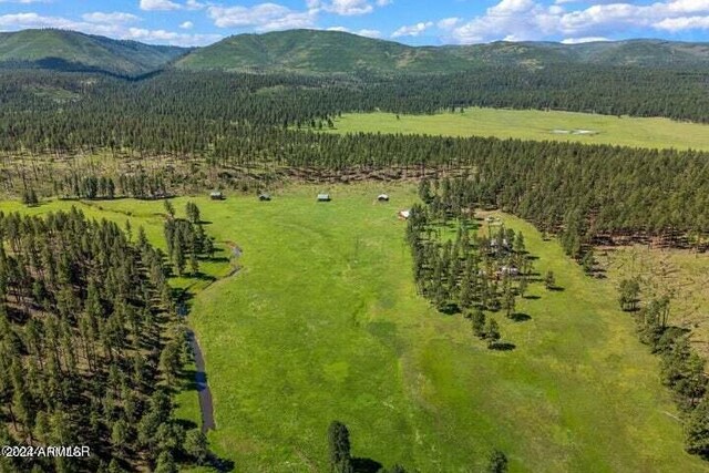 8253 Wiltbank Rd, Alpine, AZ 85920