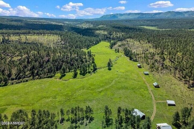 8253 Wiltbank Rd, Alpine, AZ 85920