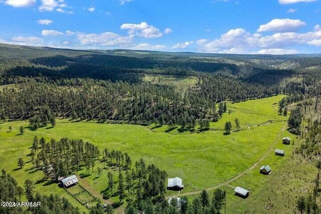 8253 Wiltbank Rd, Alpine, AZ 85920