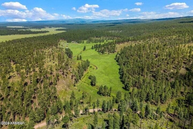 8253 Wiltbank Rd, Alpine, AZ 85920