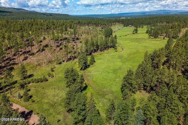 8253 Wiltbank Rd, Alpine, AZ 85920