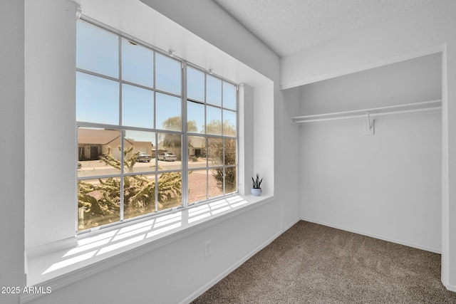 unfurnished bedroom featuring carpet floors, a textured ceiling, baseboards, and a closet