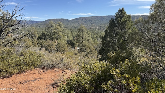 LOT73 W Tomahawk Trl Unit 73, Strawberry AZ, 85544 land for sale