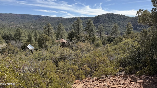 Listing photo 3 for LOT73 W Tomahawk Trl Unit 73, Strawberry AZ 85544