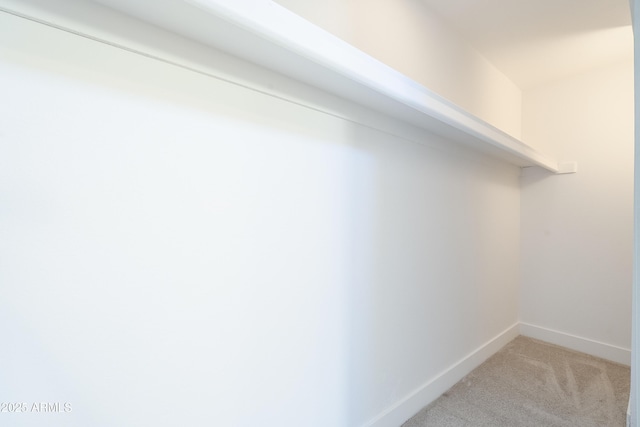 walk in closet with light carpet