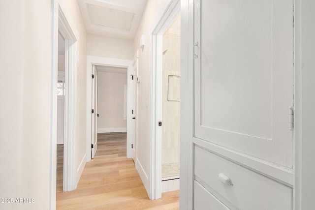 hallway with light hardwood / wood-style floors