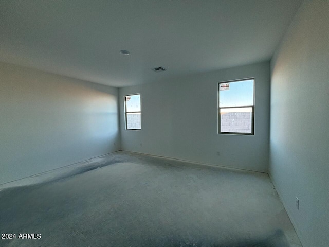 unfurnished room with carpet floors and a healthy amount of sunlight