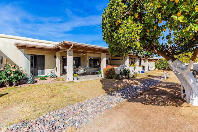 rear view of house featuring ceiling fan and a patio