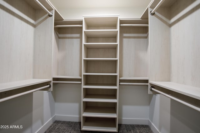 4525 N 66th St Unit 95, Scottsdale, AZ 85251 - view of walk in closet
