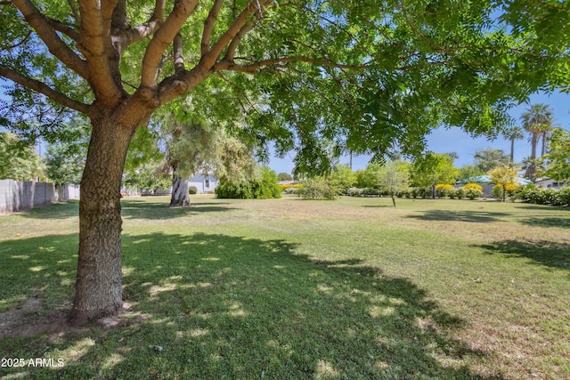 316 E Bethany Home Rd, Phoenix, AZ 85012 - view of yard